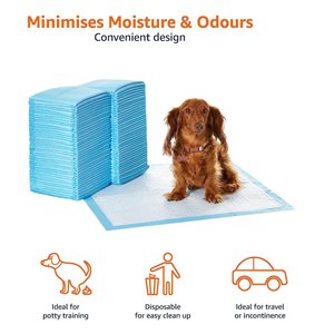 Amazon Basics Dog and Puppy Pee - Pet Supplies Performance
